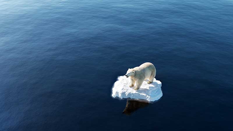 Blog Ambiental • Urso-polar em uma pequena geleira flutuando no oceano, simbolizando os efeitos do aquecimento global.