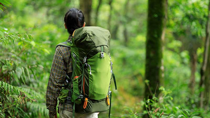 Viajante com mochila verde caminhando em meio a uma floresta tropical densa.