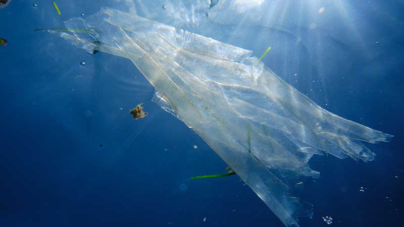 Resíduo plástico submerso no mar, destacando o impacto da poluição plástica nos oceanos e na vida marinha.