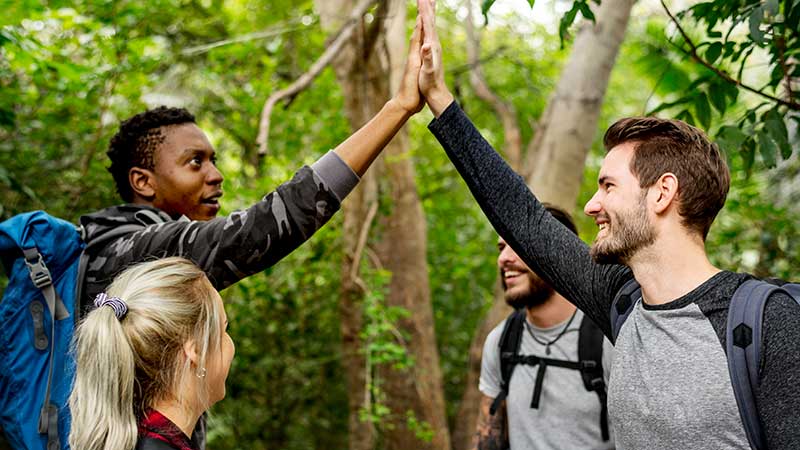 Blog Ambiental • Grupo de amigos fazendo trilha na floresta, comemorando com um toque de mãos em sinal de parceria e conexão com a natureza.