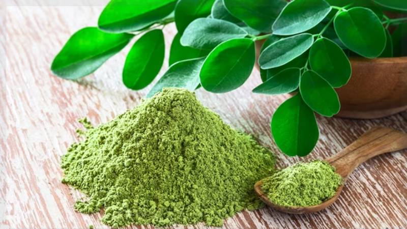 Blog Ambiental • Amônia verde como vetor energético na transição energética no Brasil