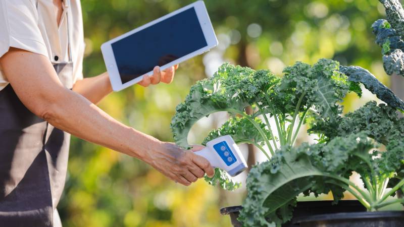 Blog Ambiental: IOT no Agro