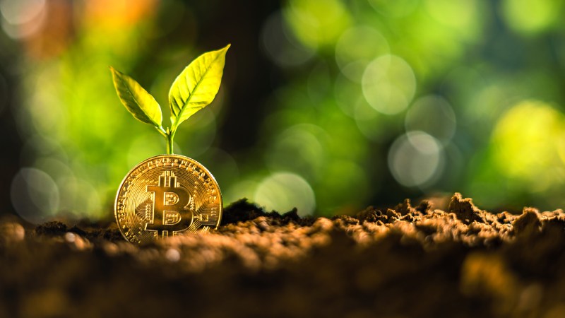 Blog Ambiental • Representação conceitual de digitalização verde no blockchain