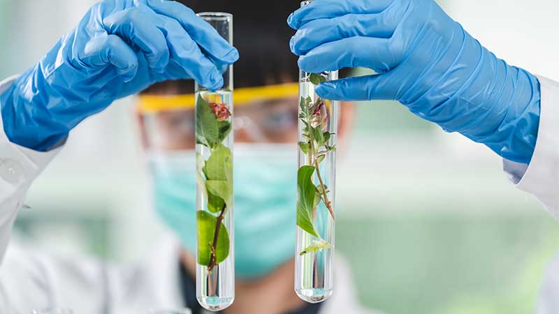 Blog Ambiental • Pesquisador segurando tubos de ensaio com plantas em laboratório sustentável