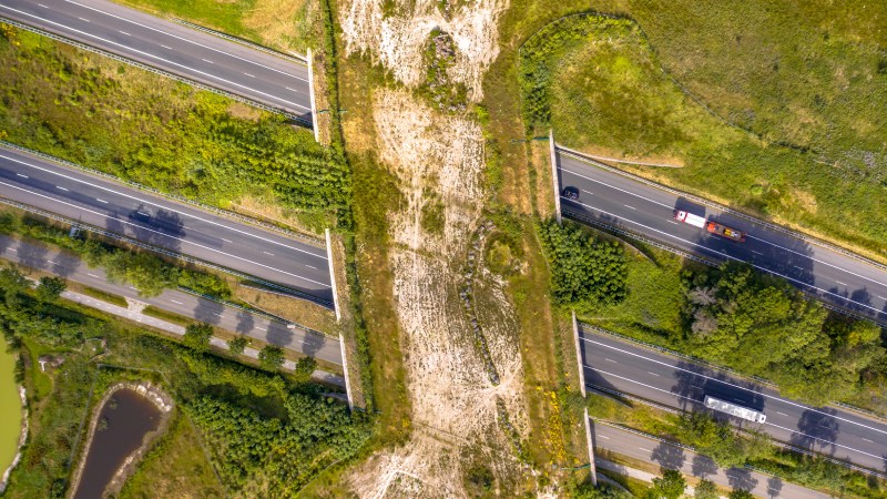 Blog Ambiental • Passagem de fauna em área em regeneração conecta ecossistemas fragmentados por rodovias