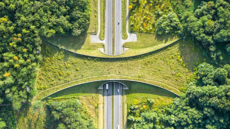 Blog Ambiental • Vista aérea de uma ponte verde sobre rodovia cercada por vegetação densa, representando um corredor ecológico para passagem de animais silvestres