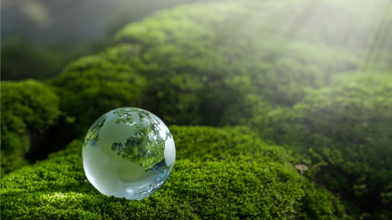 Blog Ambiental • Globo de cristal sobre musgos verdes em floresta úmida