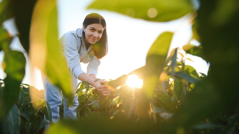 Blog Ambiental • Jovem agricultora em lavoura sustentável ao pôr do sol
