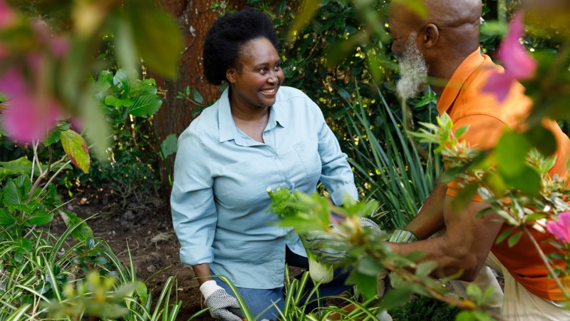 Blog Ambiental • Casal cuidando de horta agroecológica em meio à natureza