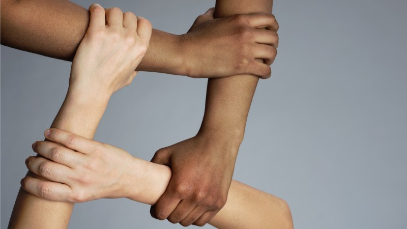 Blog Ambiental • Mãos entrelaçadas de diferentes cores de pele em sinal de união