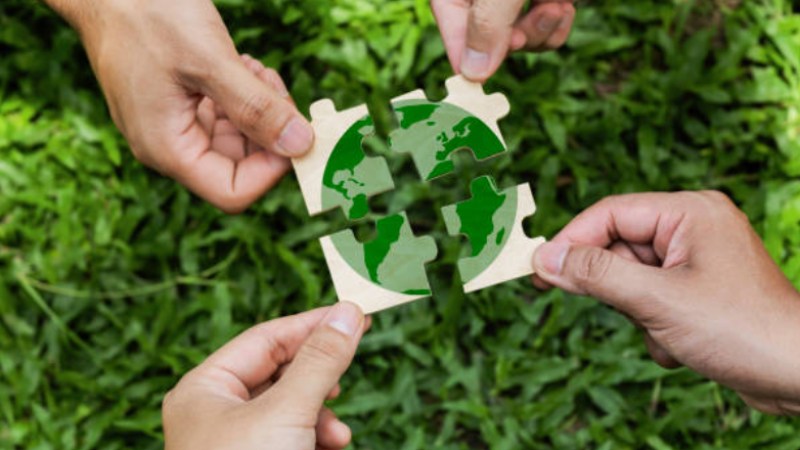 Blog Ambiental • Governança sustentável e colaboração global em startups