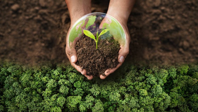Blog Ambiental • Sustentabilidade ambiental como pilar das startups de impacto