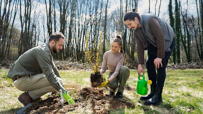 Três pessoas sorrindo enquanto plantam uma árvore em área verde, durante uma ação coletiva de reflorestamento.