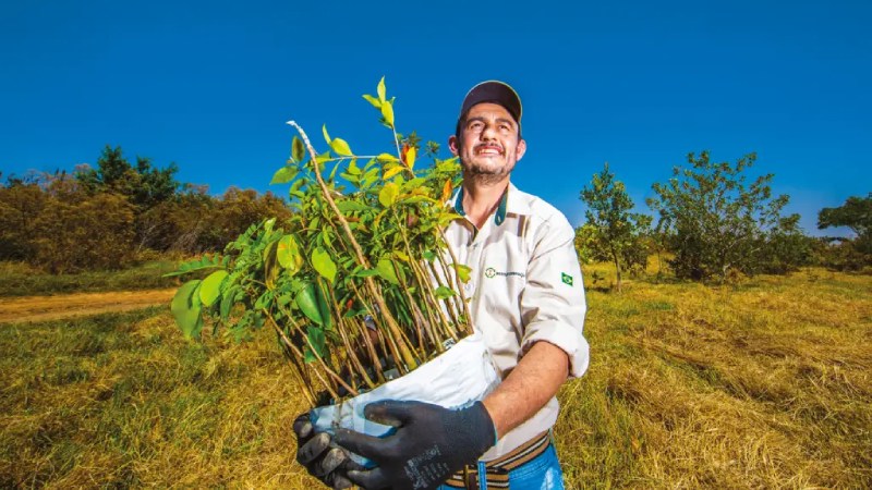 Blog Ambiental • Valdir Dias segurando bandejas com mudas nativas do Cerrado, prontas para plantio em áreas prioritárias de recarga
