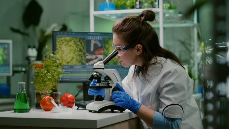 Cientista bióloga observando uma amostra vegetal ao microscópio em laboratório especializado.