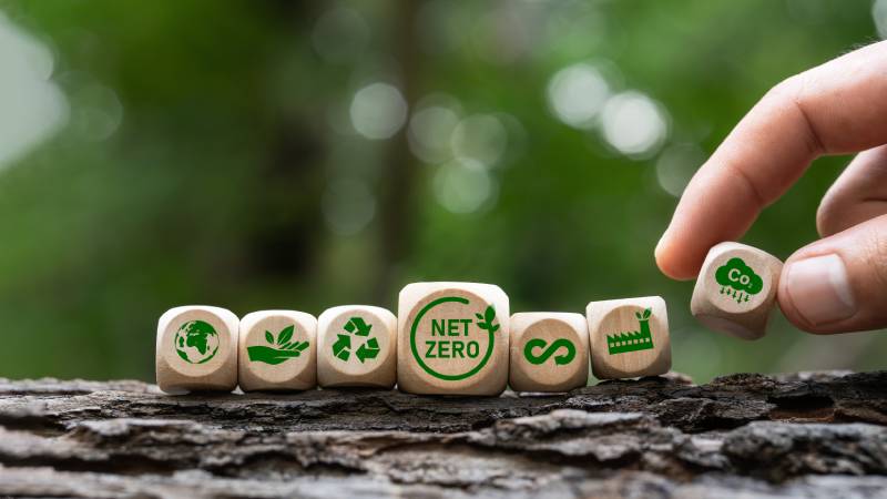 Símbolos de economia sustentável e Net Zero representando viabilidade econômica com responsabilidade ambiental.