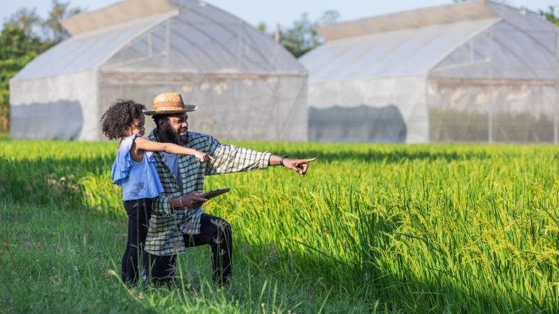 Blog Ambiental • Agricultura sustentável integrada à educação e ao território
