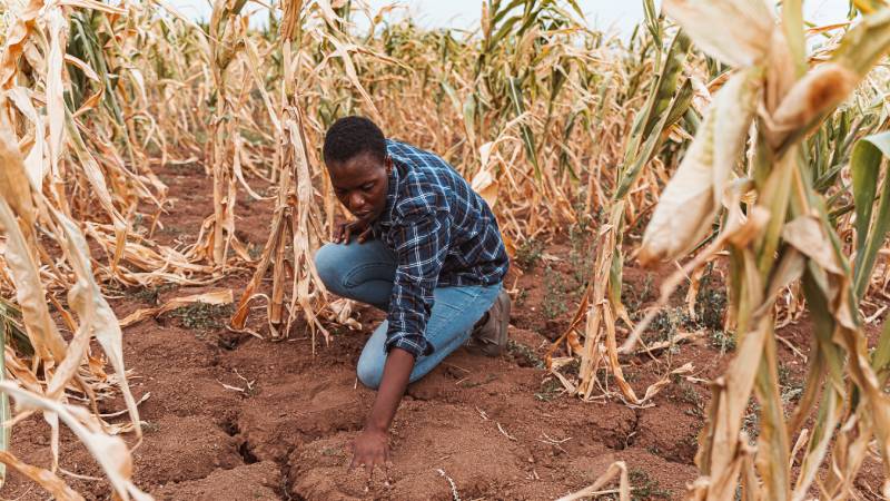 Agricultura afetada pela seca e pelas mudanças climáticas globais