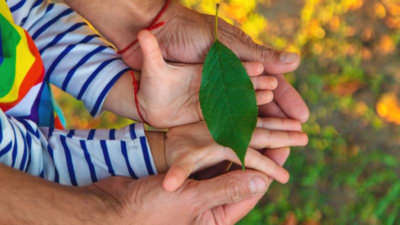 Blog Ambiental • Mãos de um adulto e de uma criança segurando uma folha verde, simbolizando educação ambiental, cuidado intergeracional e futuro sustentável