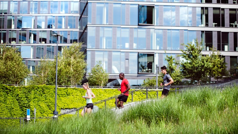 Blog Ambiental • Pessoas praticando atividades físicas em área verde urbana integrada à cidade