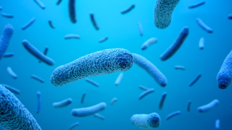 Blog Ambiental • Microrganismos anaeróbios responsáveis pela digestão e codigestão da matéria orgânica